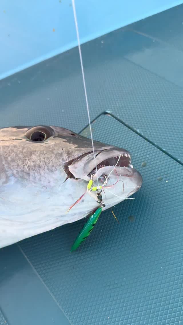 FUNADAIKO METAL JIG