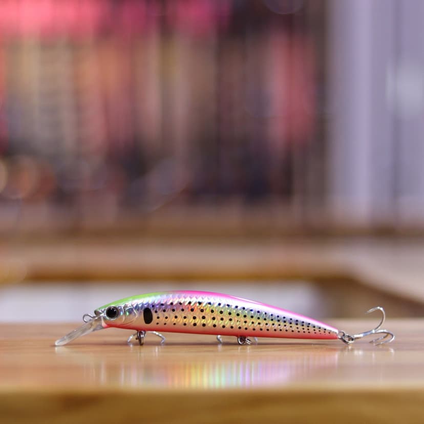 Minnow 40G