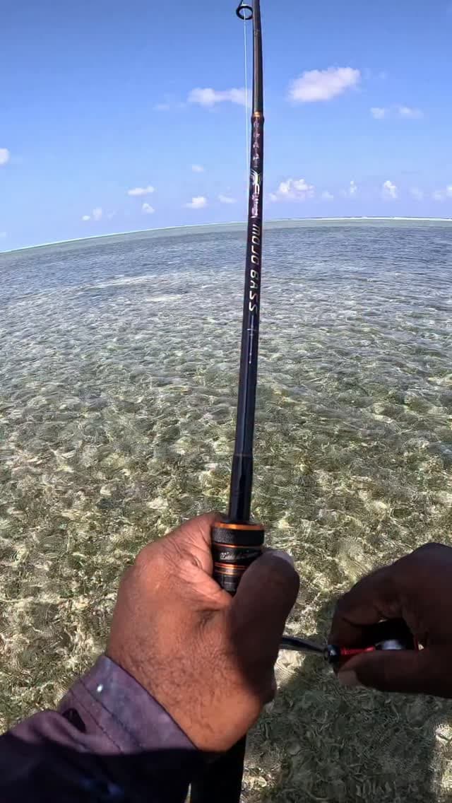 Mojobass 4-12gr rod