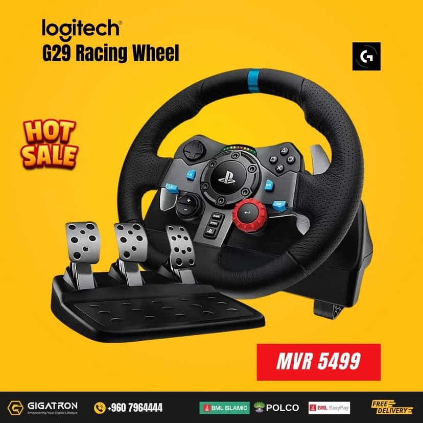 Thrustmaster Racing Wheel